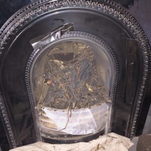 Birds nest open fire Musselburgh East Lothian